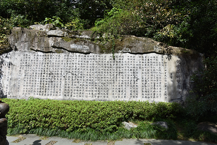 DSC_9664.jpg