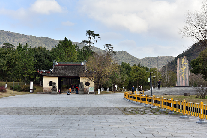 DSC_7245.jpg