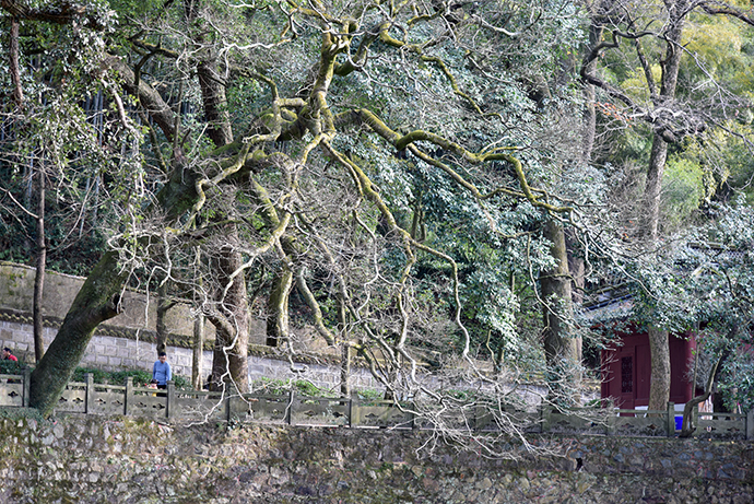 DSC_7282.jpg