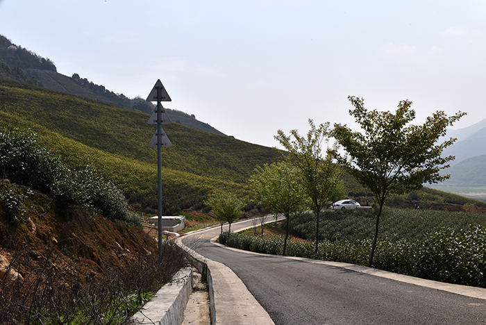 DSC_1555.jpg