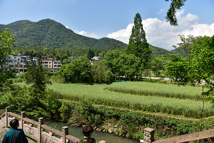 DSC_7546.jpg