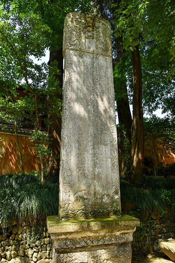 DSC_7571.jpg